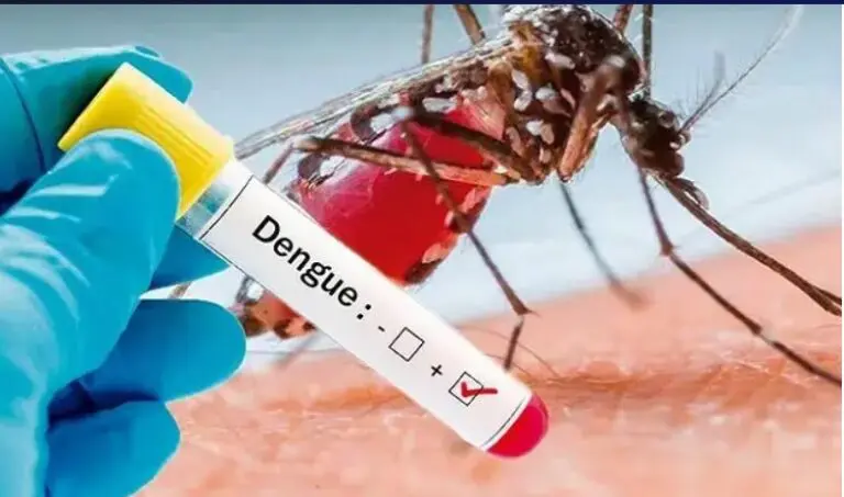  Bajan los contagios de Dengue en Argentina: ya son 314 los fallecidos y se registran 464.249 casos